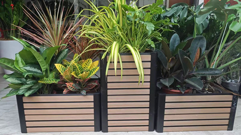 plant-pot.jpg